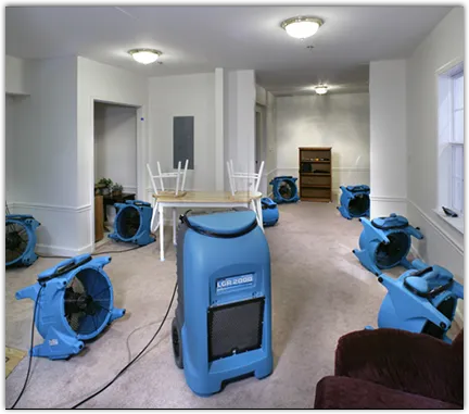 Water Mitigation Services in Gun Plain, MI