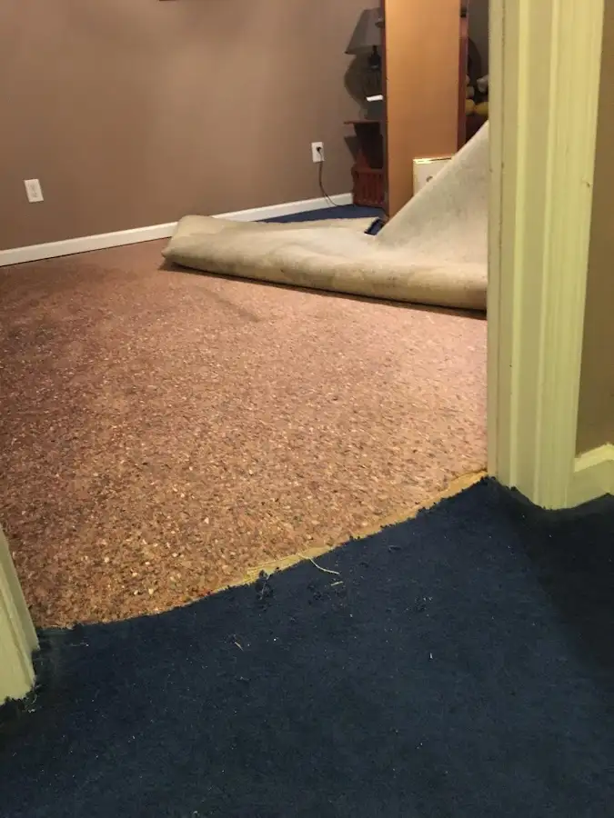 Carpet pad removal revealing water damage during Water Mitigation Services in Gun Plain