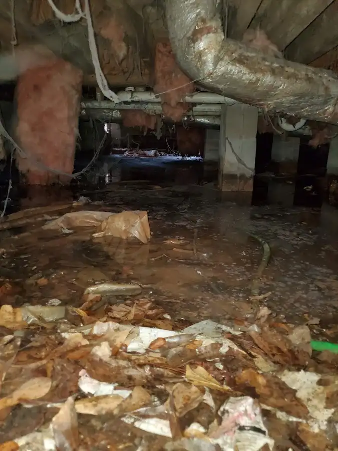 Crawl space flood assessment for Commercial Water Damage Restoration in Gun Plain