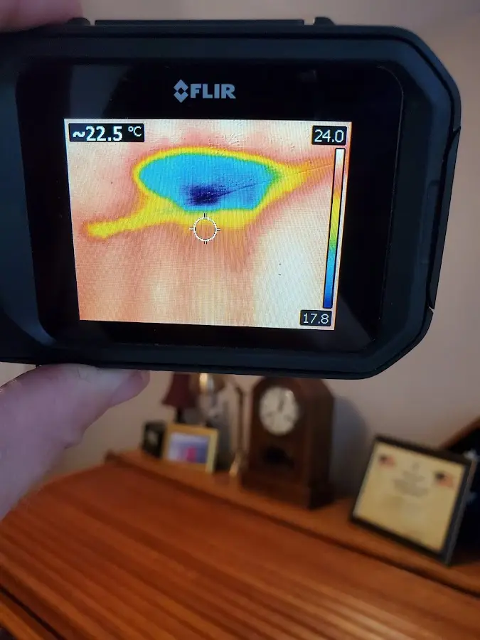Thermal imaging inspection for water damage in Gun Plain