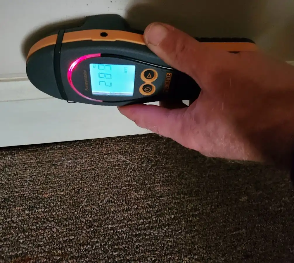 Moisture detection at baseboard during Mold Inspection & Testing in Gun Plain